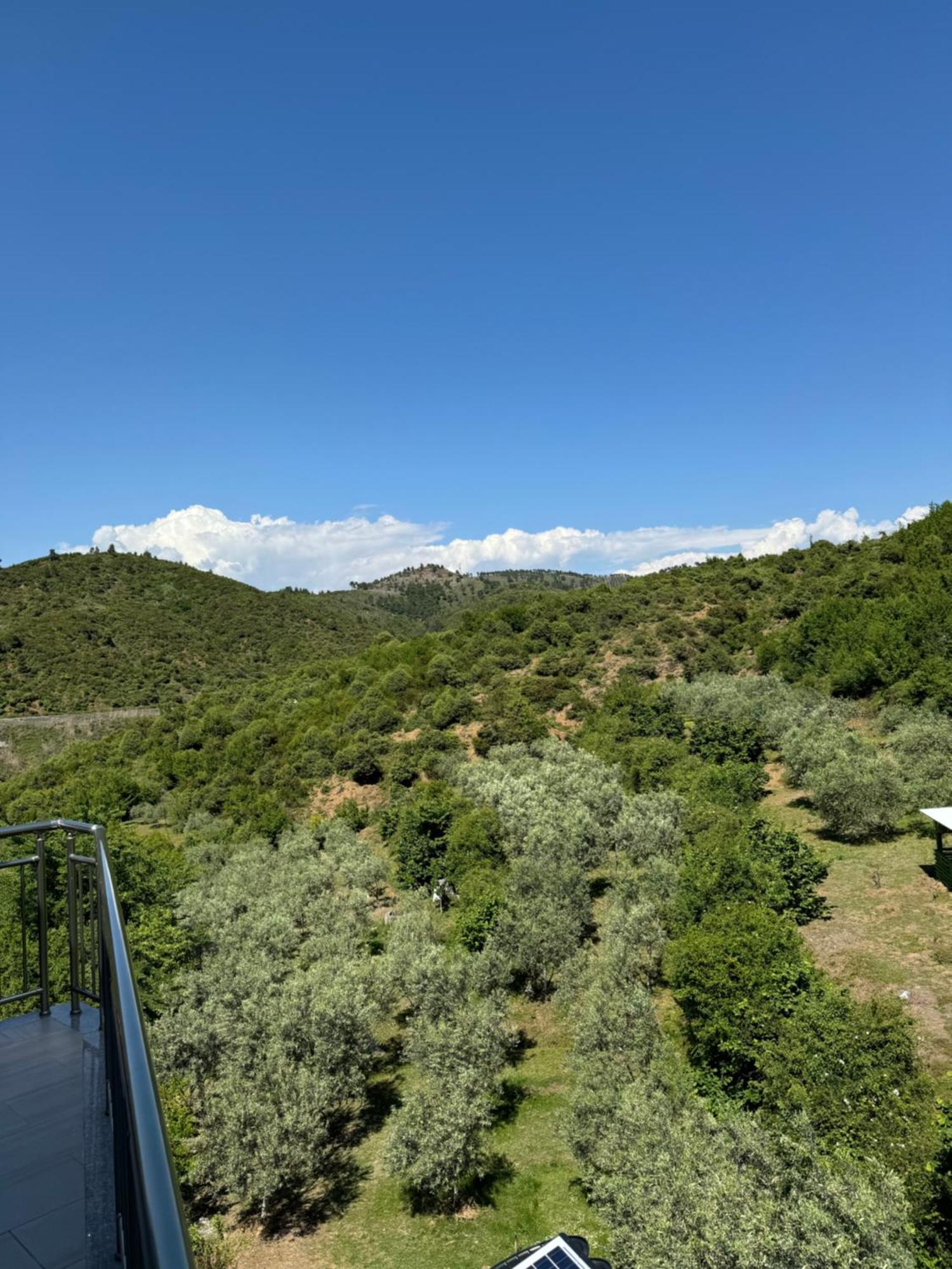 Qyteza Guest House & Camping Shkodër Extérieur photo